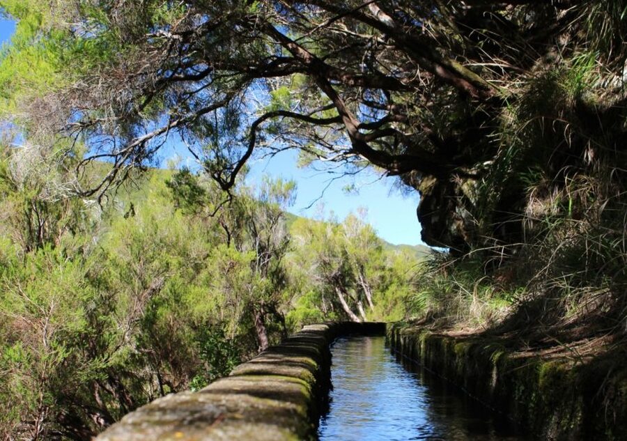 Madeira : Walking Tour-Rabaçal /25 Fontes - 25 Fontes: The Lagoon Moment That Changes the Day
