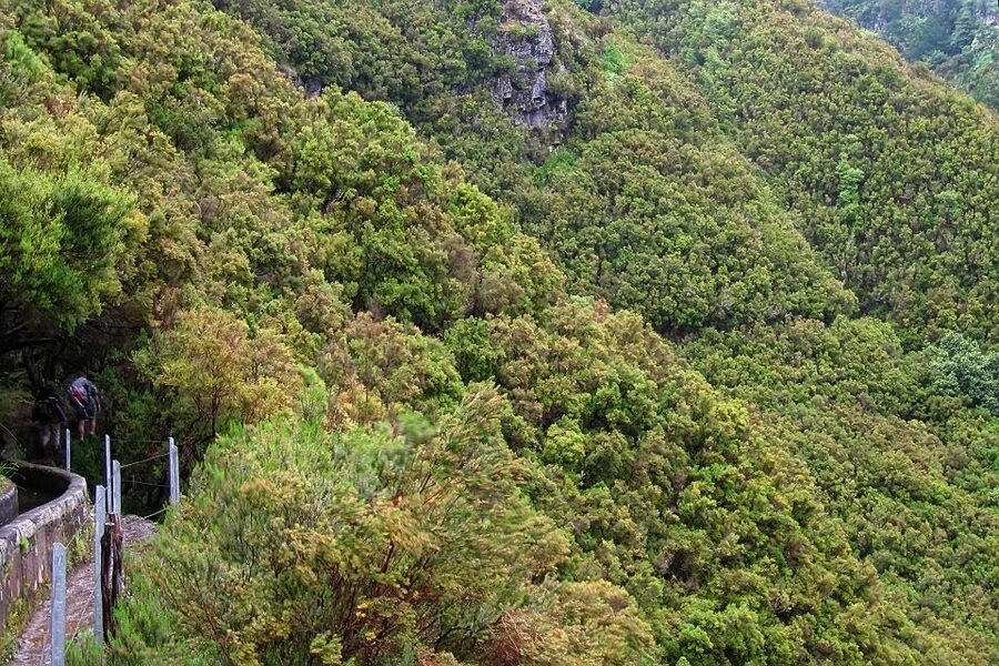Madeira Walks - Rabaçal and the 25 Fountains - The 4-Hour Walk Through Rabaçal Nature Reserve