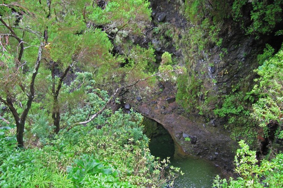Madeira Walks - Rabaçal and the 25 Fountains - Springs, Waterfalls, And The Crystal-Clear Lake Moment