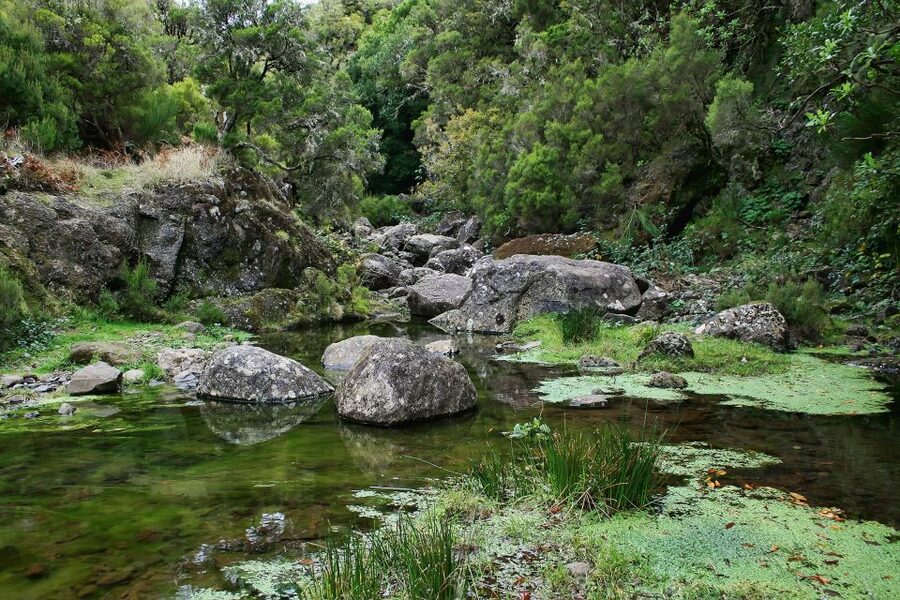 Madeira Walks - Rabaçal and the 25 Fountains - Guide, Languages, And How Safety Really Feels