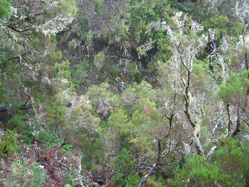 Madeira Walks - Rabaçal and the 25 Fountains - What To Pack For Comfort, Heat, And Wet Feet