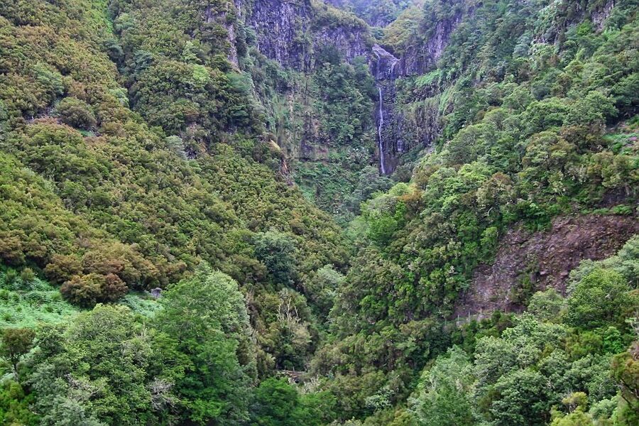 Madeira Walks - Rabaçal and the 25 Fountains - Price and Value: Why $50 Can Work