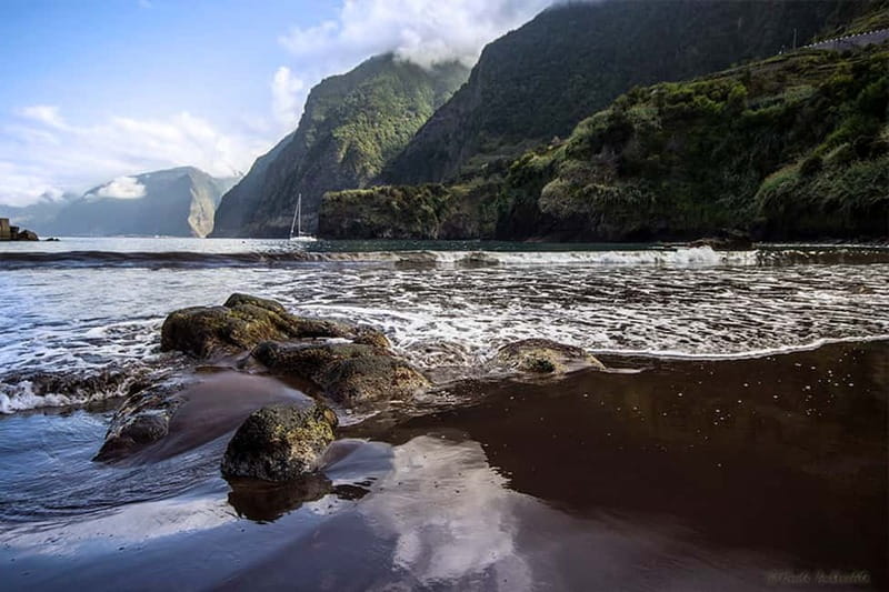 Madeira West Island Full-Day Tour with Fanal Forest - Câmara de Lobos, Churchill painting vibes, and quick photo time