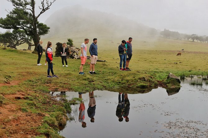 Madeira West Porto Moniz pools - Enchanted Terraces Fanal Unesco - Getting picked up in Funchal, and how to plan your morning