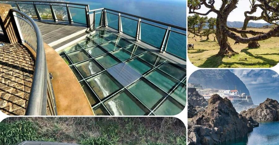 Madeira: West Tour With Guide Fanal Forest SykWalkExperience - Madeira West in One Day, Without the Stress of Driving