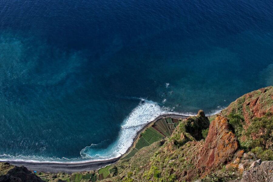 Madeira: Western Madeira Guided Trip & Fanal Mystic Forest - Guide style, timing, and what “7 hours” feels like