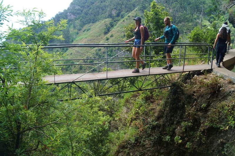 Madeira: Wet your hair in the amazing Levada Nova / Moinhos - Why the Moinhos Levada route feels special in Madeira