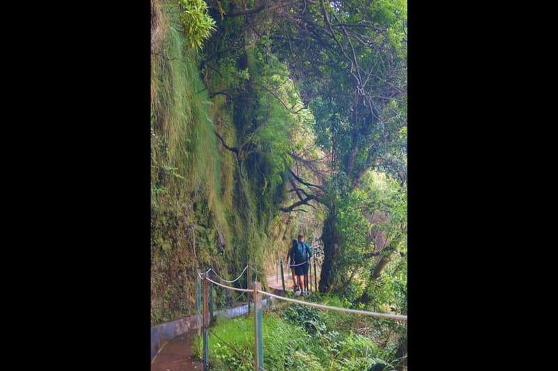Madeira: Wet your hair in the amazing Levada Nova / Moinhos - Ponta do Sol after the hike: sea time, lunch options, and viewpoints
