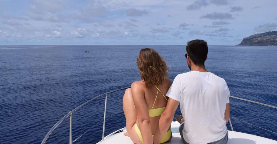Madeira: Whale and Dolphin Watching Private Cruise - Setting Sail From Calheta: What the 2.5 Hours Is Really Like