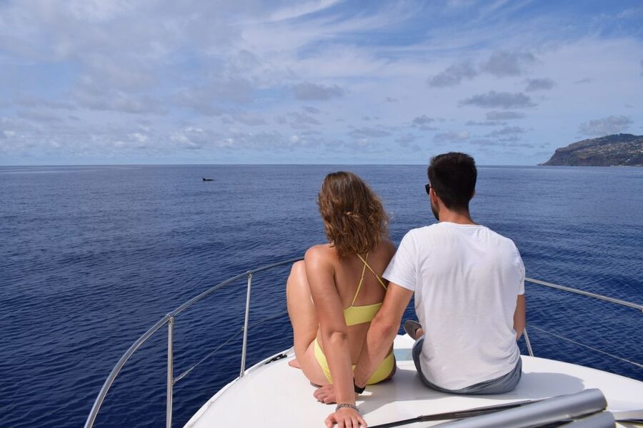 Madeira: Whale and Dolphin Watching Private Cruise - Choosing Between Miranda and Gringo (and What It Means for Your Group)