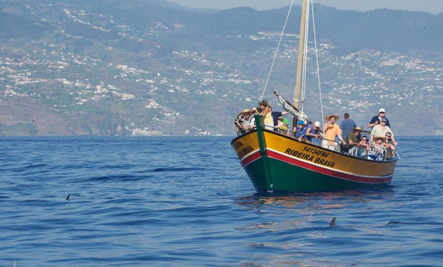 Madeira: Whale Watching Excursion in a Traditional Vessel - Boat comfort and motion: how to enjoy 2.5 hours on the water