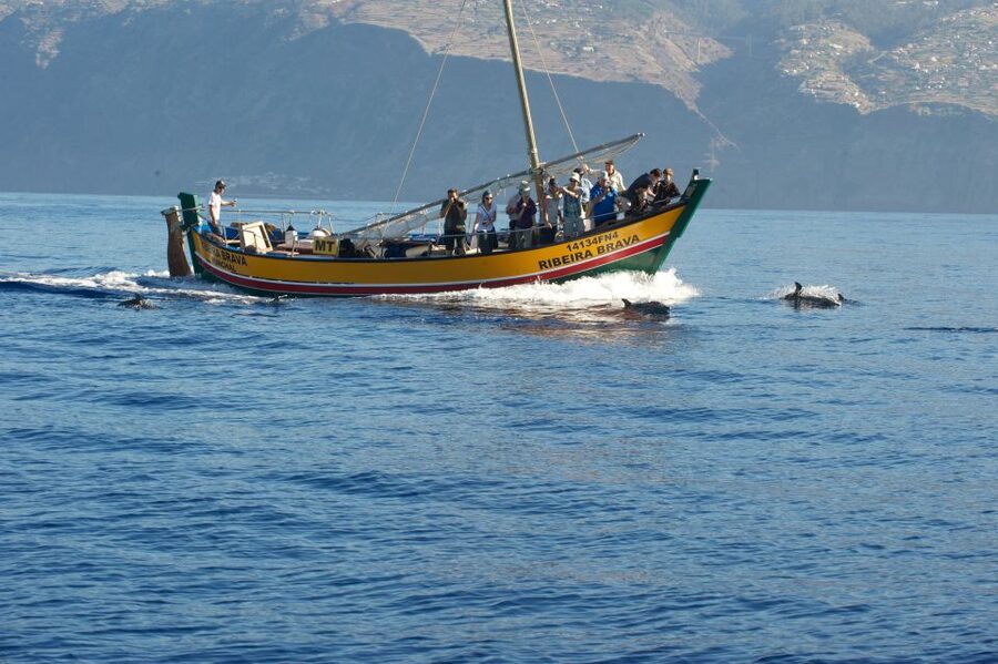Madeira: Whale Watching Excursion in a Traditional Vessel - Where the trip goes: protected waters around Madeira, not random cruising