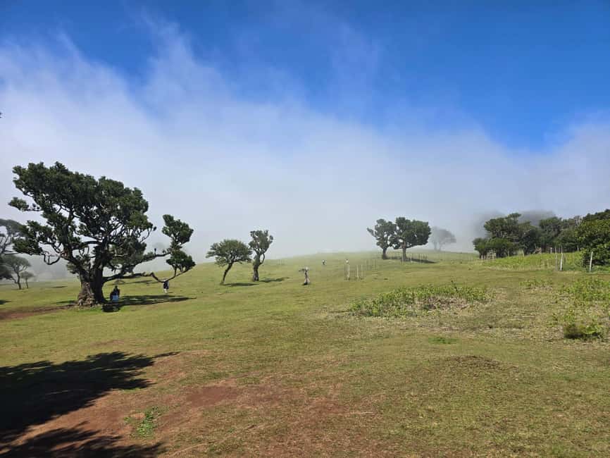 Madeira: Where the Sea Meets the Sky: Tour of the West - Price and Timing: A Full West-Coast Day for About $37