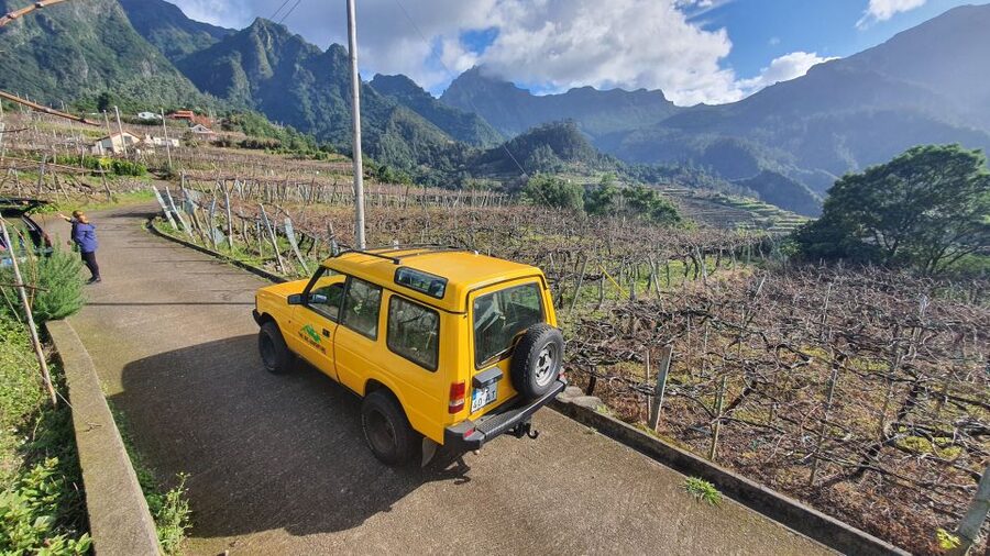 Madeira: Wine Tasting Guided Tour, Jeep Safari, & Viewpoints - Quinta do Barbusano: the walk that makes your wine tasting click