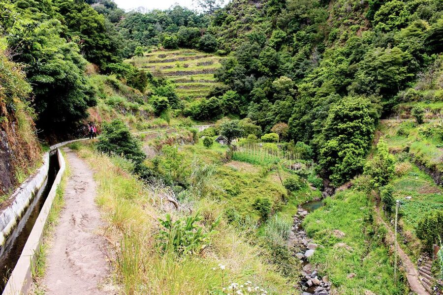 Maroços / Mimosa Valley - Levada Walk - Why Machicos Mimosa Valley feels different than most Madeira walks