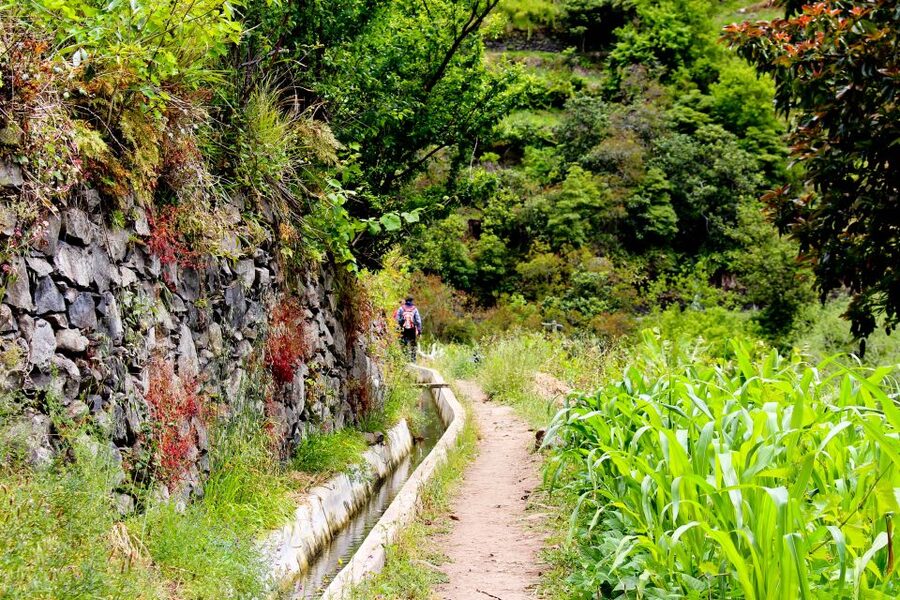 Maroços / Mimosa Valley - Levada Walk - Price and value: is $38 a fair deal for 4 hours?