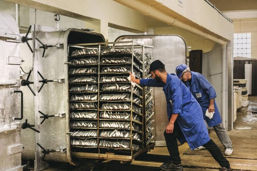 Matosinhos: Conservas Pinhais Factory Tour - Key Highlights You Should Not Miss