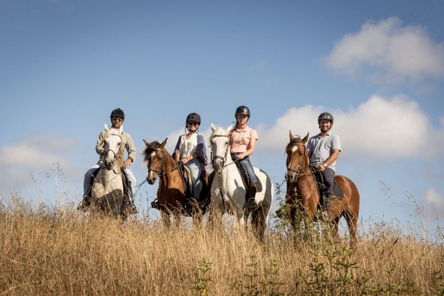 Melides: Horse Riding on the Beach with Wine Tasting - Riding the dunes and pine forest of Melides