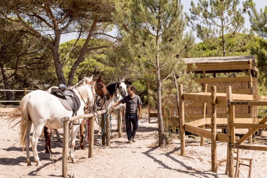Melides: Horse Riding on the Beach with Wine Tasting - The freshwater lagoon segment and spotting birds