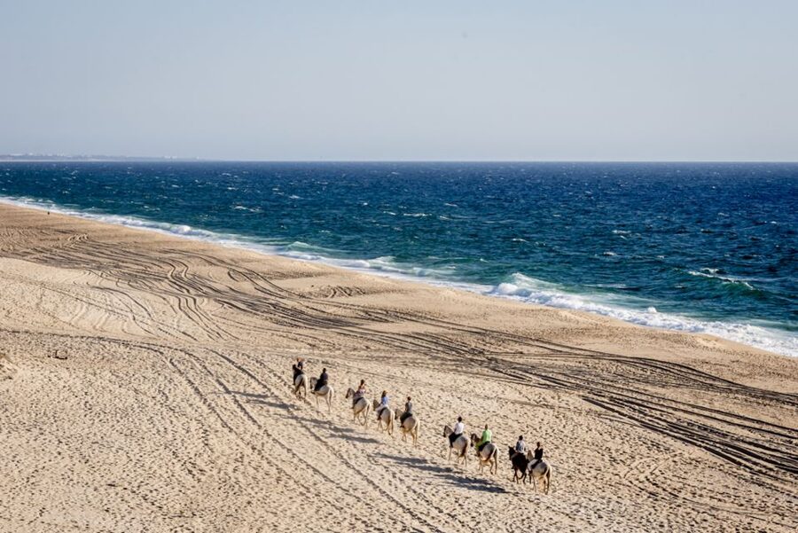 Melides: Horse Riding on the Beach with Wine Tasting - Pricing and value: how to decide if it’s worth it