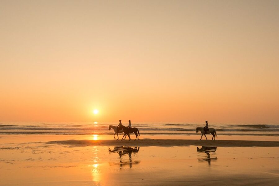 Melides: Horse Riding on the Beach with Wine Tasting - Over 60 kilometers of beach riding, with ocean air all around