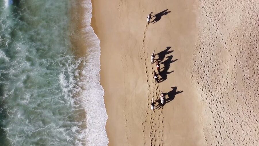 Melides: Horseback Riding on Melides Beach - The route you actually ride: Atlantic forest first, then beach