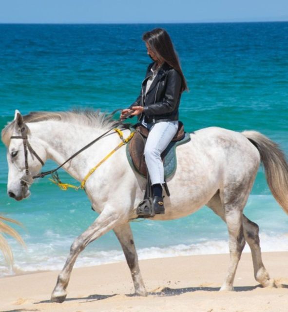 Melides: Horseback Riding on Melides Beach - Riding the sand: what the 65 km beach setting means for your ride