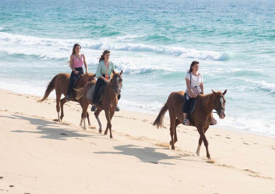 Melides: Horseback Riding on Melides Beach - Safety and comfort: how the tour supports beginners (and who should reconsider)