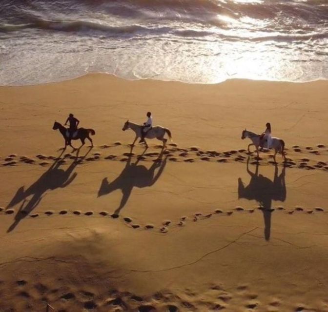 Melides: Horseback Riding on Melides Beach - Price and value for $76, plus what to bring for a smooth 2 hours