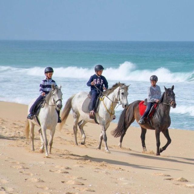 Melides: Horseback Riding on Melides Beach - Should you book Melides horseback riding on Melides Beach?