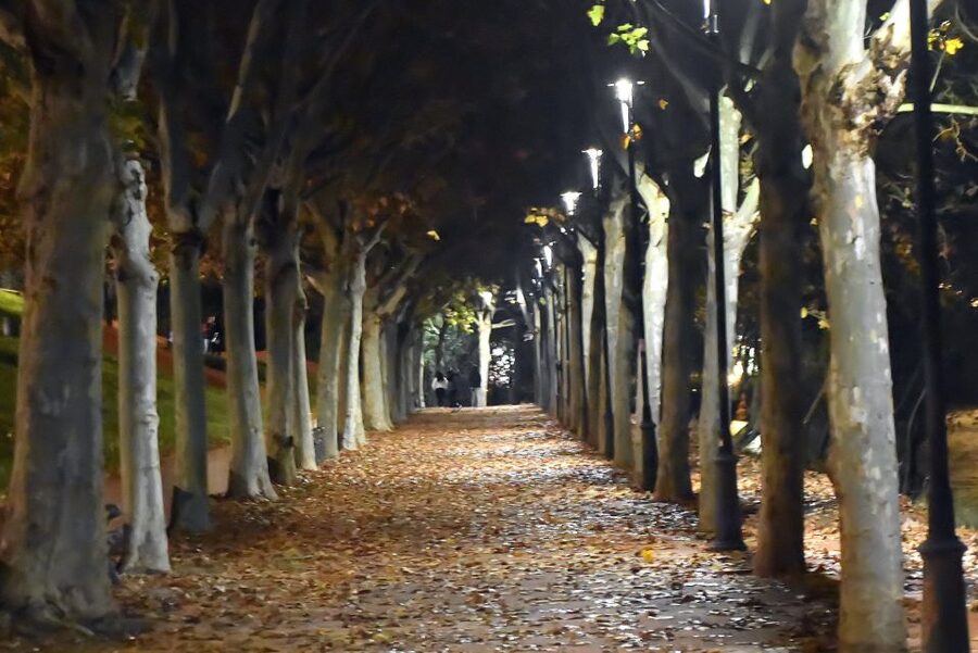Merida: Legends and Mysteries Night Tour - Heading down toward the Guadiana river