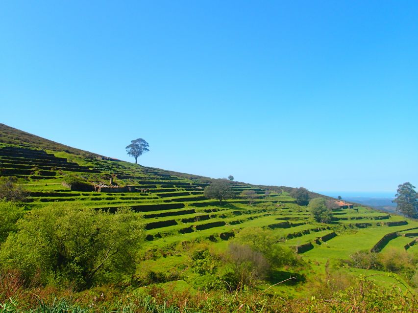 Monchique and Fóia: Half Day Tour - Fóia Peak at 902 Meters, Where the Algarve Spreads Out