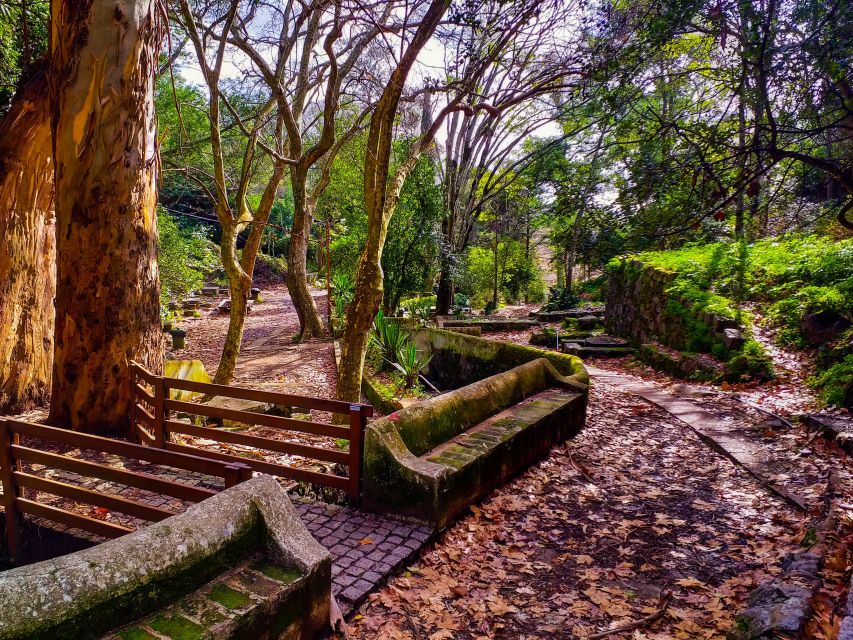 Monchique and Fóia: Half Day Tour - What 360º Panoramas Really Mean Here