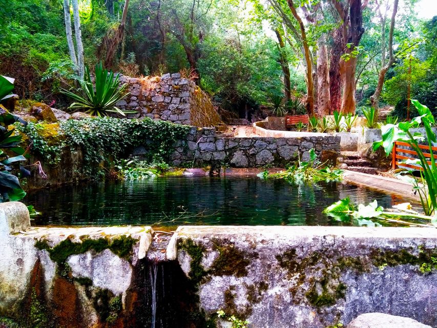 Monchique and Fóia: Half Day Tour - Guides, Flora and Local Stories from Filipe and Antônio