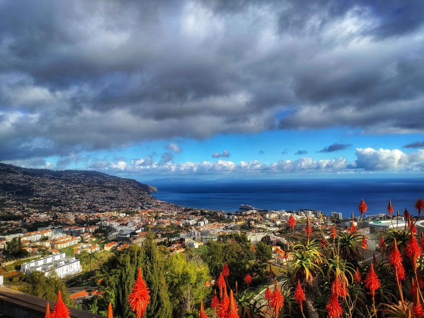 Nun's Valley - Pico dos Barcelos: your 360º Funchal panorama stop