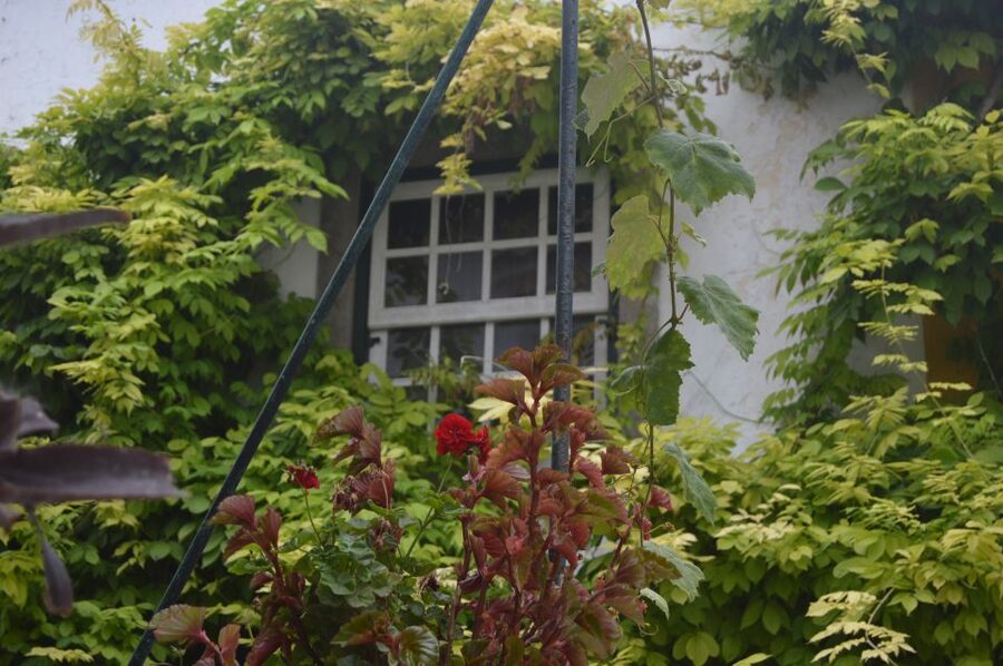 Óbidos: Medieval Tales & Secrets Spots Guided Walking Tour - Ler Devagar and the two-bookstore bonus that makes Óbidos feel alive