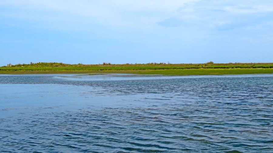 Olhão: 3-Hour Ria Formosa Boat Tour - The Guide Factor, How the Narration Changes the Whole Trip