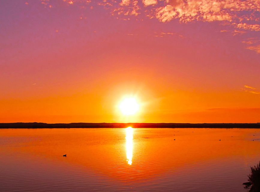 Olhão: 3-Hour Ria Formosa Boat Tour - Who This Tour Fits Best (and Who Might Feel Limited)