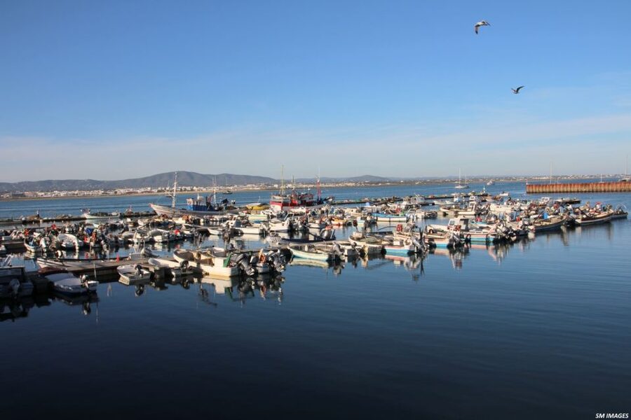 Olhão: 3 Islands Guided Sightseeing Tour with Lunch - Sailing again through the park before Culatra