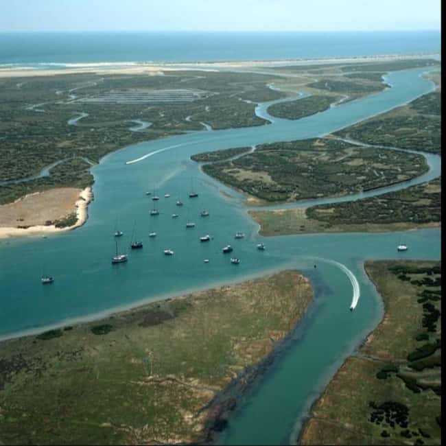 Olhão: Ria Formosa 2 Islands Boat Tour - Culatra Island: walking a working fishing community