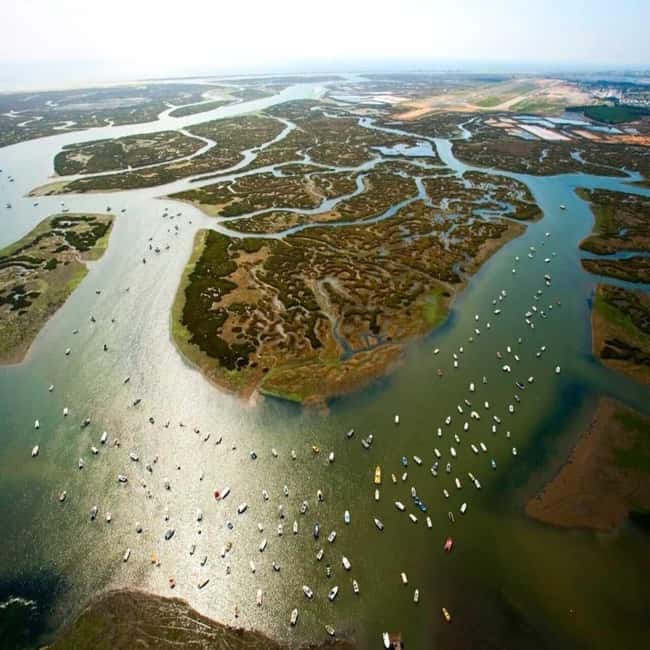 Olhão: Ria Formosa 2 Islands Boat Tour - Low tide moments: seeing fishermen, clam and oyster beds
