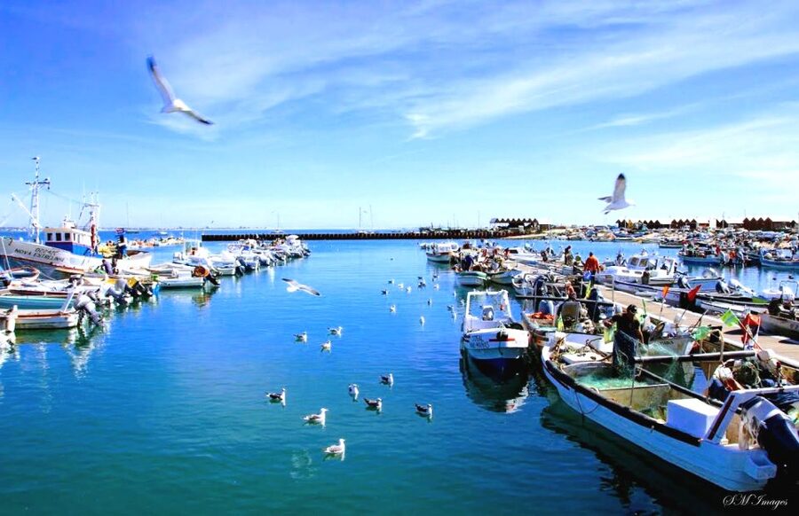 Olhão: Ria Formosa 3 Islands Guided Day Trip by Boat - Armona Island: swimming, sand flats, and an easy hour ashore
