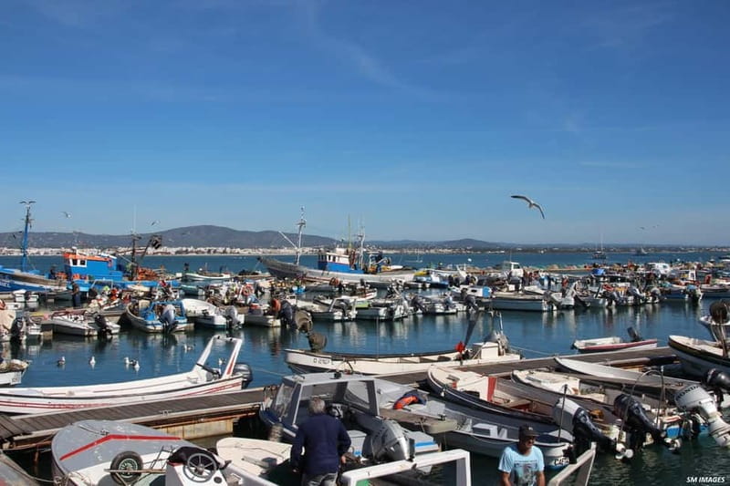 Olhão: Ria Formosa 3 Islands Guided Day Trip by Boat - Culatra Island: guided time, island rhythm, and where the culture shows
