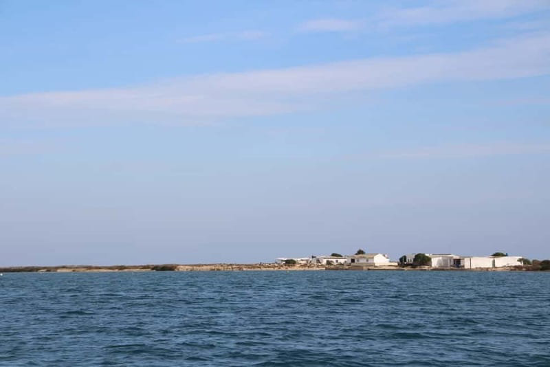Olhão: Ria Formosa 3 Islands Guided Day Trip by Boat - Ilha do Farol: a photo stop with time to wander