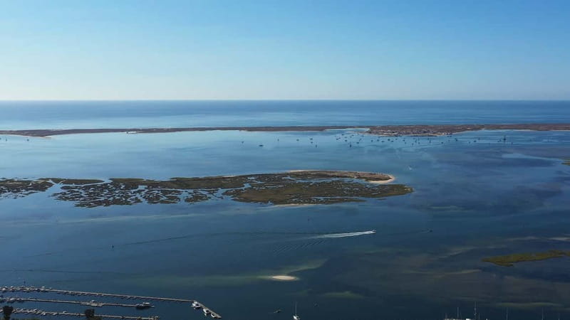 Olhão: Ria Formosa National Park and Islands Boat Cruise - Channel Cruising: How the Captain Makes the Park Click