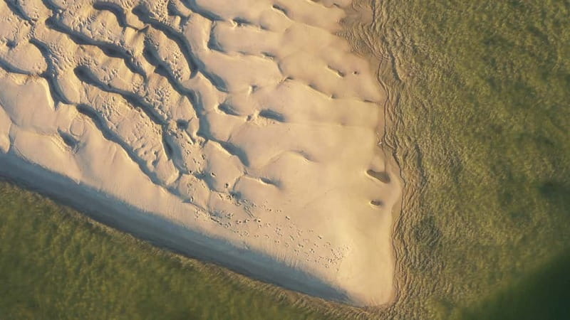 Olhão: Ria Formosa National Park and Islands Boat Cruise - Armona Island or the Desert Beach Stop: What You Do With Your Time