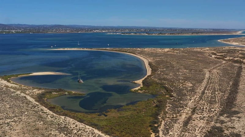 Olhão: Ria Formosa National Park and Islands Boat Cruise - Culatra Island: Where the Tour Becomes Local Life