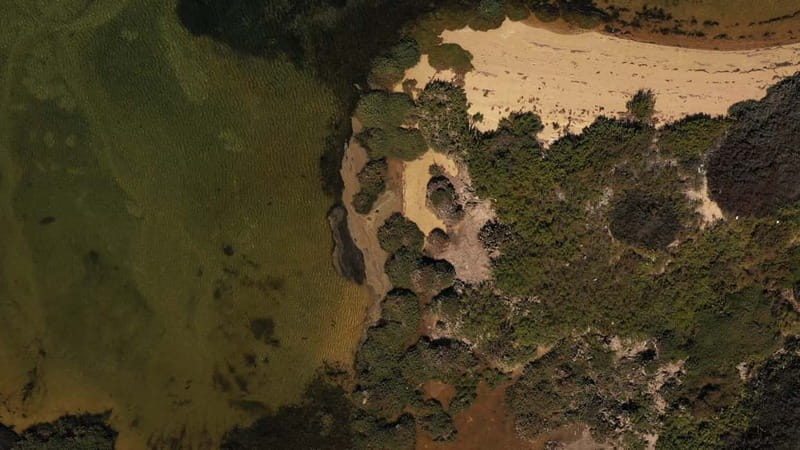 Olhão: Ria Formosa National Park and Islands Boat Cruise - What to Bring, and What to Wear (So the Ride Feels Easy)