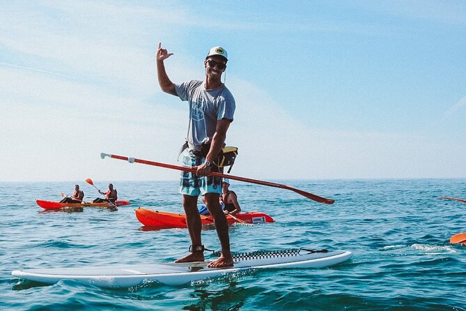 Paddle & Explore: Albufeira SUP Tour - Praia da Coelhinha and Praia da Gale: the shoreline variety that keeps it interesting