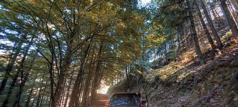 Passeio Guiado em 4x4 para conhecer a Serra da Estrela - Why a 4x4 Half-Day Works So Well in Serra da Estrela